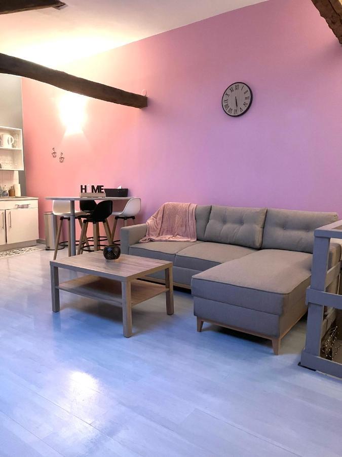 Chablis: Grand Studio En Plein Centre Ville Exteriér fotografie
